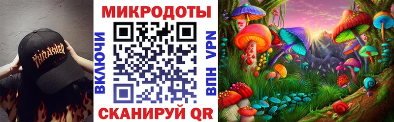 Псилоцибиновые грибы Psilocybe  Пущино 